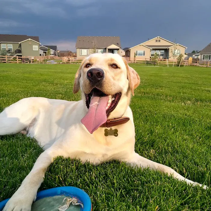 High Plains Veterinary Hospital 3