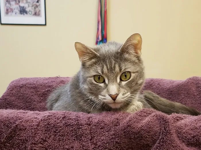 High Plains Veterinary Hospital 9