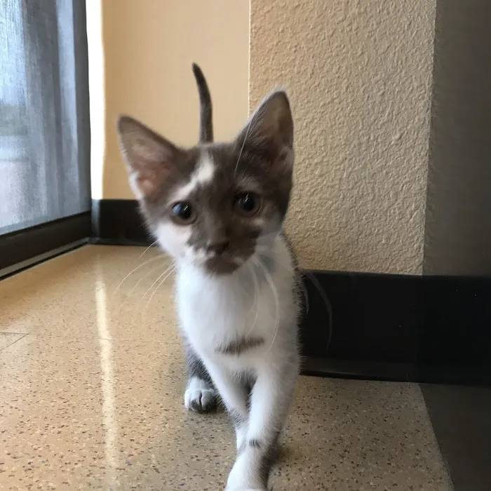 High Plains Veterinary Hospital 5