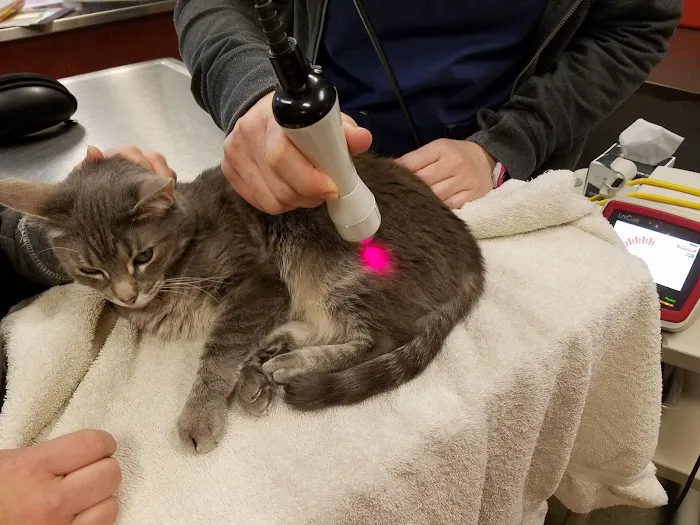High Plains Veterinary Hospital 2