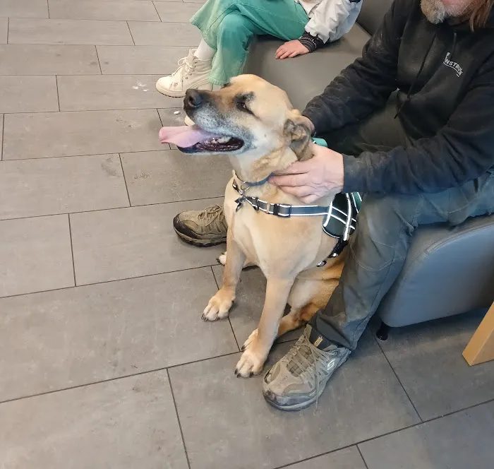 Banfield Pet Hospital 3