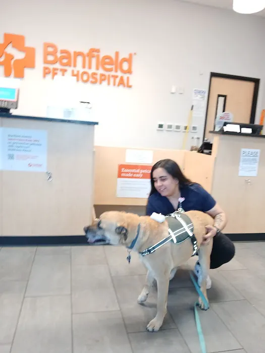 Banfield Pet Hospital 4