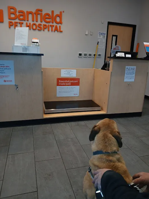 Banfield Pet Hospital 2