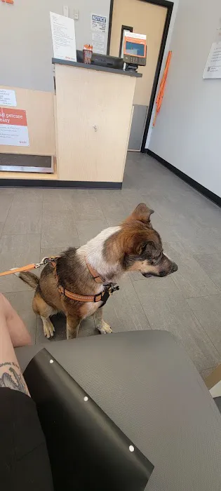 Banfield Pet Hospital 1