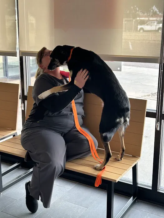 Banfield Pet Hospital 7