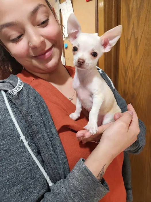 Crossroads Animal Hospital 9