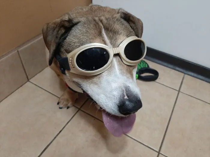 Crossroads Animal Hospital 1