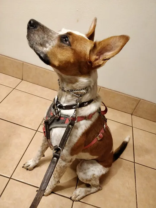 Crossroads Animal Hospital 4