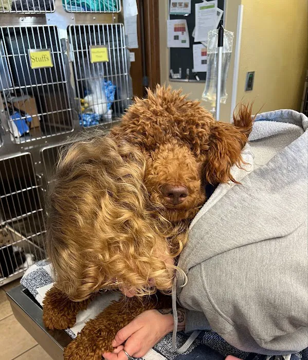 Crossroads Animal Hospital 8