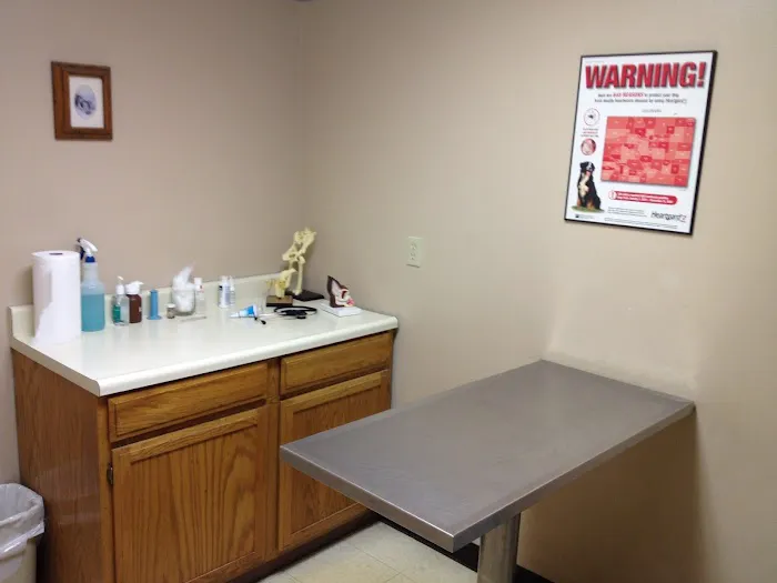 Carefree Animal Clinic 6