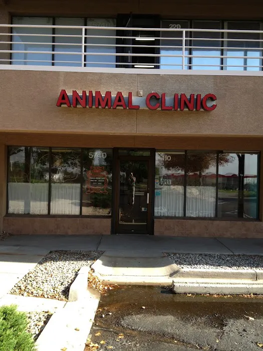 Carefree Animal Clinic 4