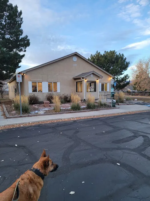Eye Specialists for Animals of Colorado Springs 3