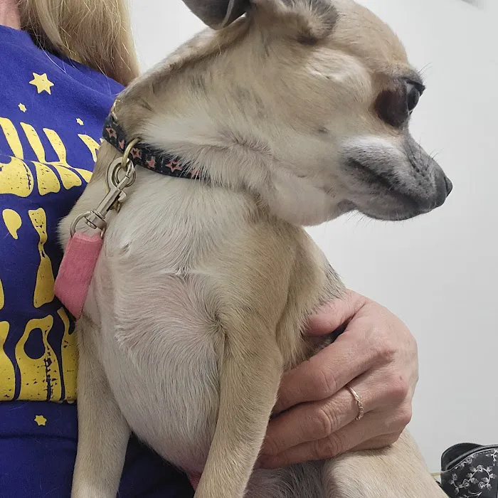 Animal ER Care - Central 1