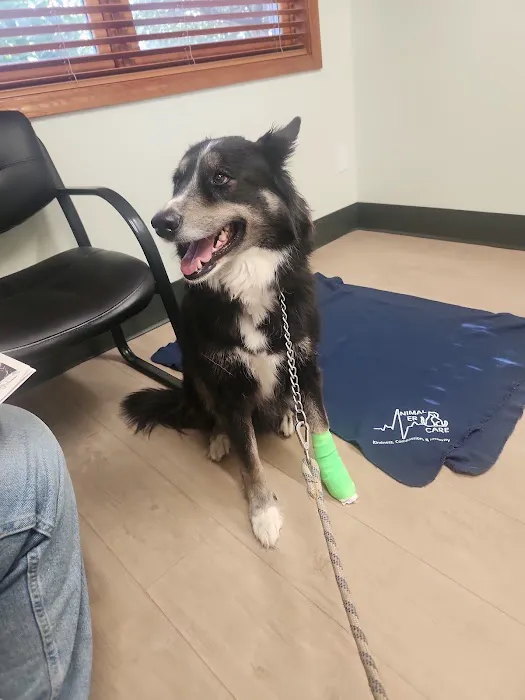 Animal ER Care - Central 3