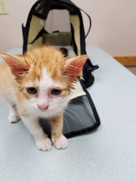 Brenford Animal Hospital 7