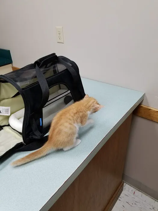 Brenford Animal Hospital 8