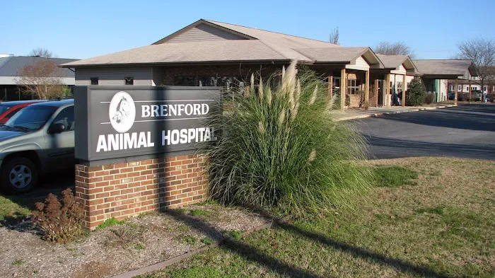 Brenford Animal Hospital 10