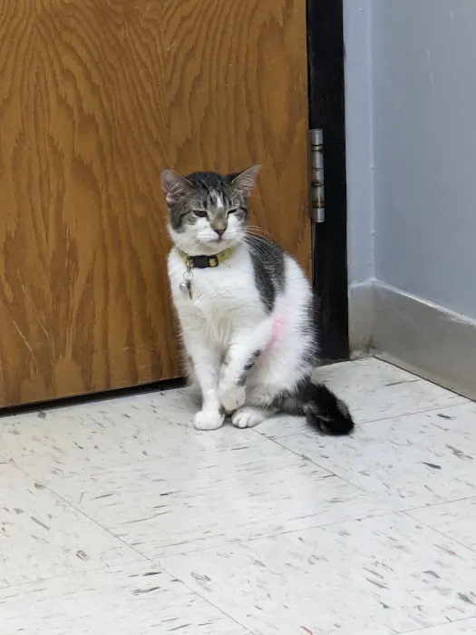 Brenford Animal Hospital 3