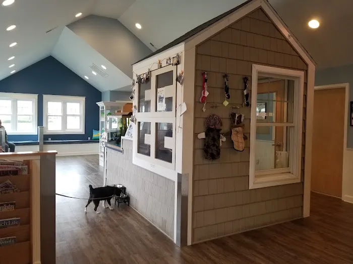 Savannah Animal Hospital 8