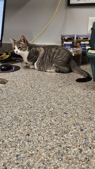 Savannah Animal Hospital 2
