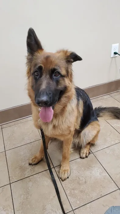 Pennsville Veterinary Clinic 3