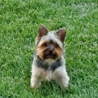 Pennsville Veterinary Clinic ico
