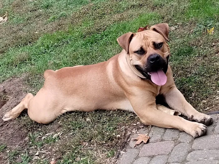Pennsville Veterinary Clinic 5