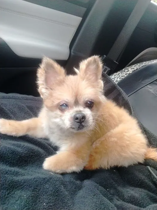 Saint Francis Veterinary Center of South Jersey 2