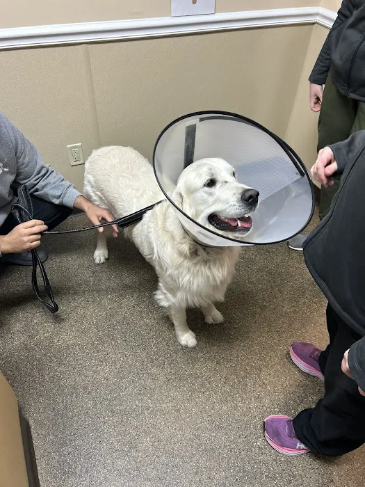 Saint Francis Veterinary Center of South Jersey 5