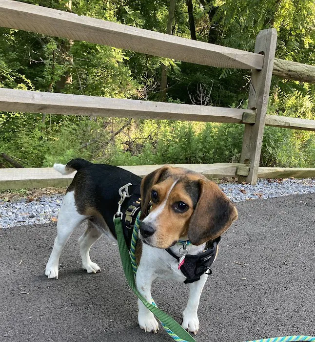 Delaware Valley Veterinary Hospital 10