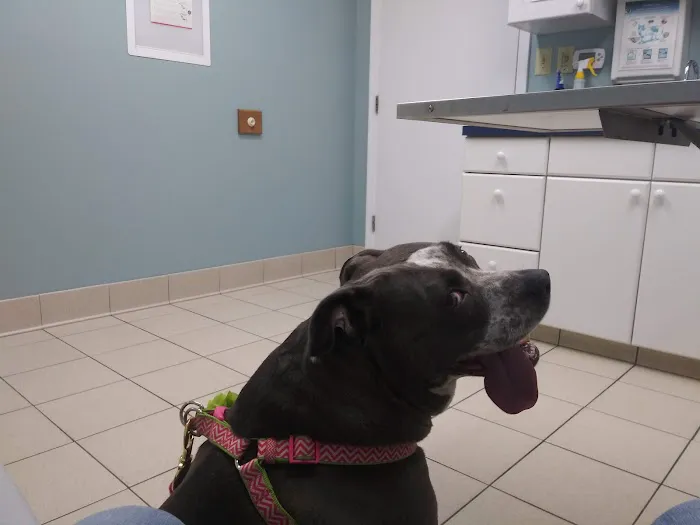 Delaware Valley Veterinary Hospital 1