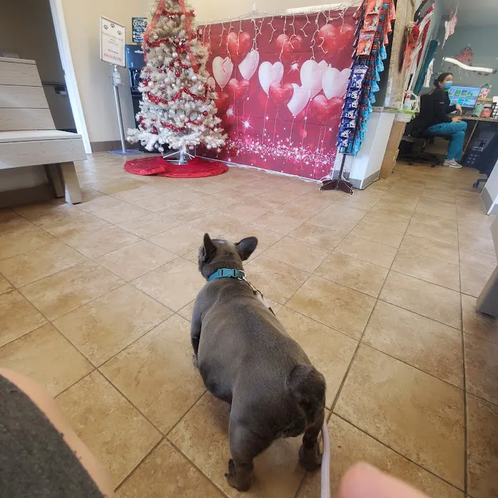 Delaware Valley Veterinary Hospital 6