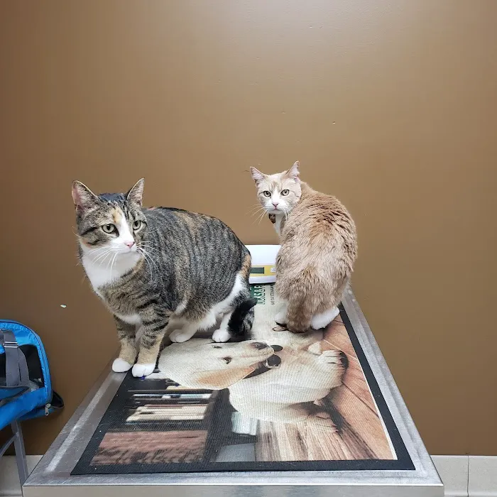 Delaware Valley Veterinary Hospital 4
