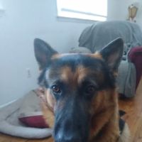 Manahawkin Veterinary Hospital ico