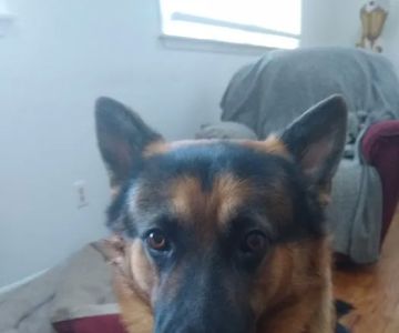 Manahawkin Veterinary Hospital