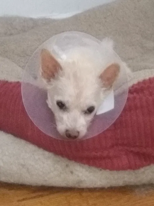 Manahawkin Veterinary Hospital 3