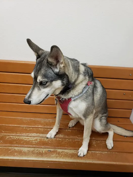 Banfield Pet Hospital 7