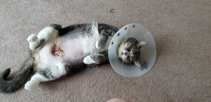 Banfield Pet Hospital 9
