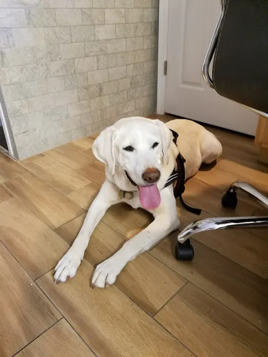 Ocean Acres Veterinary 4
