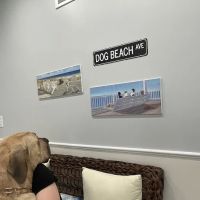 Ocean Acres Veterinary ico