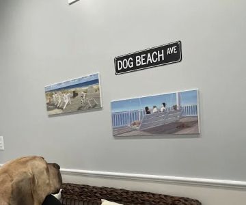 Ocean Acres Veterinary