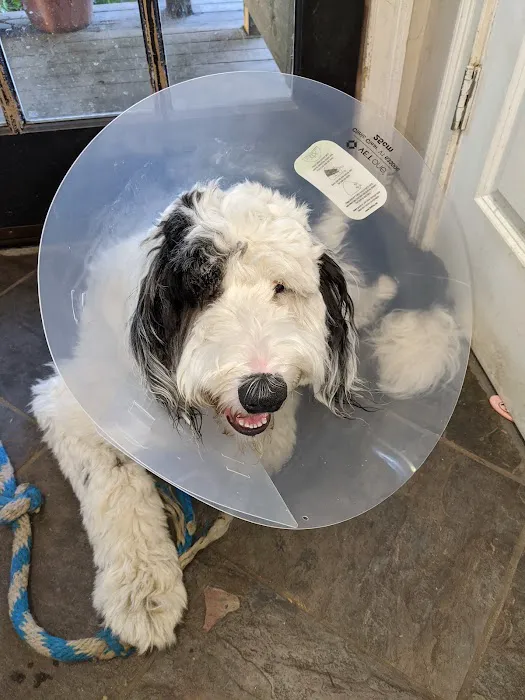 Ocean Acres Veterinary 6