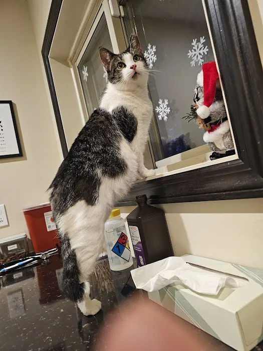 Eagleswood Veterinary Hospital 4