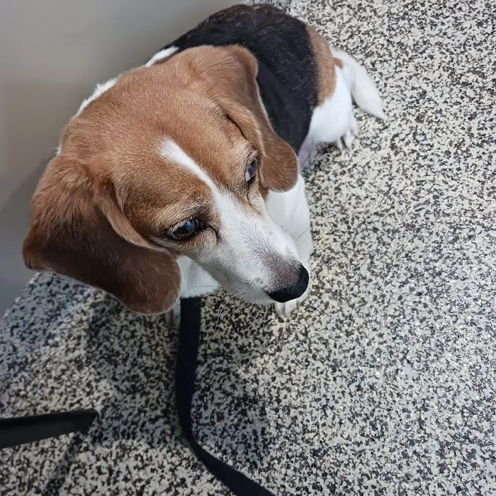 Eagleswood Veterinary Hospital 3