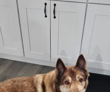 Eagleswood Veterinary Hospital