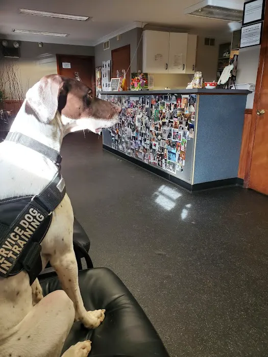 Homestead Veterinary Center 8