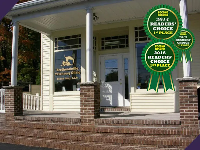 Brodheadsville Veterinary Clinic 10