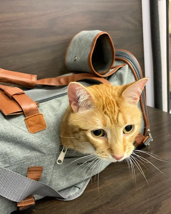 Brodheadsville Veterinary Clinic 9