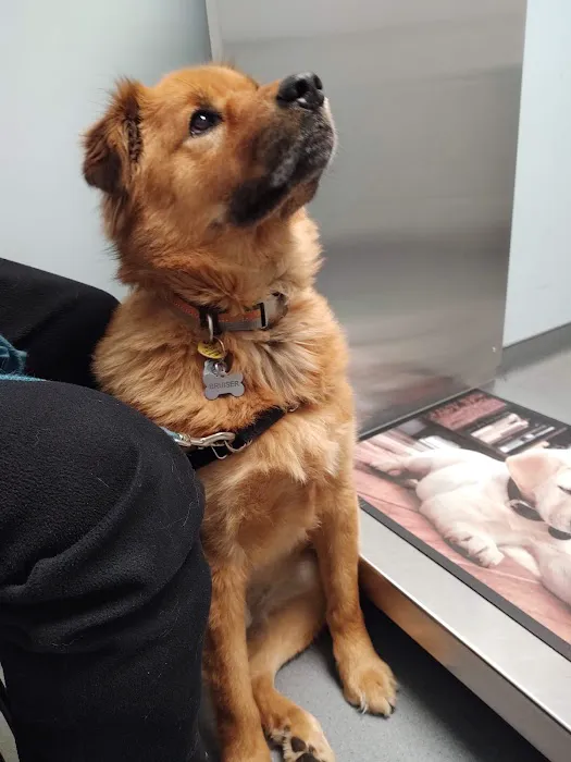Brodheadsville Veterinary Clinic 1
