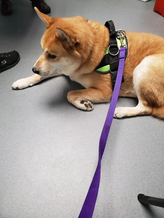 Brodheadsville Veterinary Clinic 6